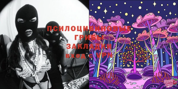 крисы Костерёво
