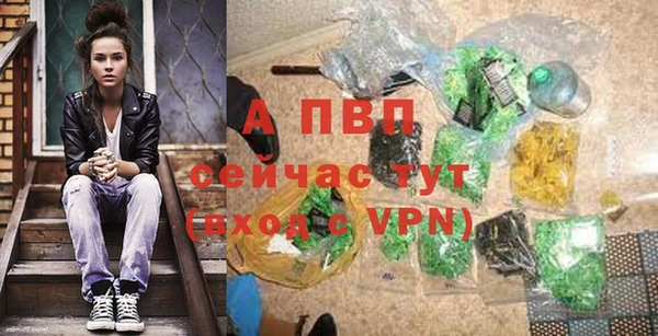 крисы Костерёво