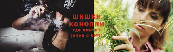 крисы Костерёво