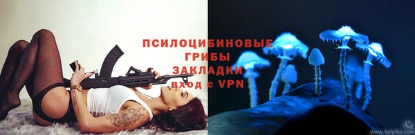 крисы Костерёво