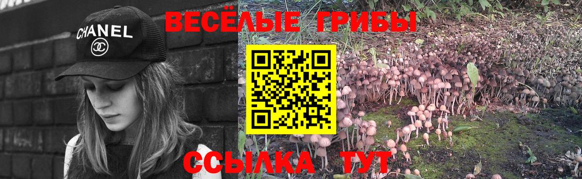 Галлюциногенные грибы GOLDEN TEACHER  Старый Оскол 